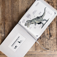 Anatomy of Dinosaurs Books Dave Kellett