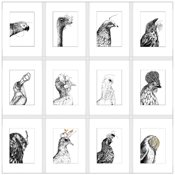 Specimens Prints 01-12 - 6x8” Art Jessica Hayworth All Twelve - $125