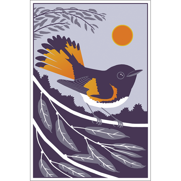 Beautiful Birds Poster Four-Pack Art Bird and Moon