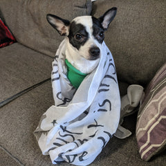 Careful Of Books Quote Scarf Accessories Cassandra Clare