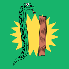 Snake N' Bacon Shirt Shirts Michael Kuppperman