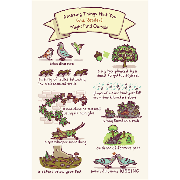 Amazing Things Print Art Bird and Moon