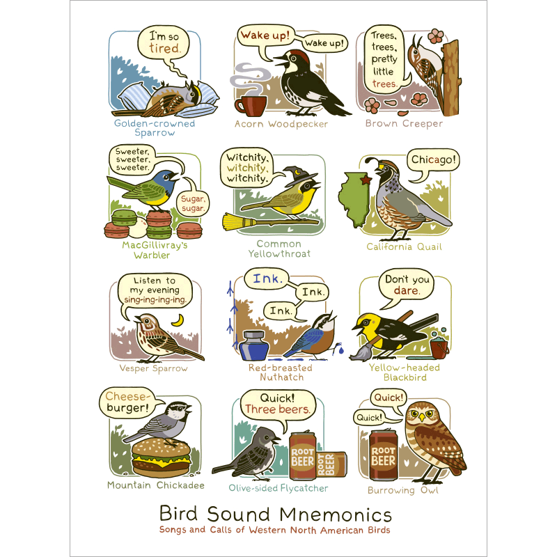 Bird Sound Mnemonics Print (Western) Art Bird and Moon