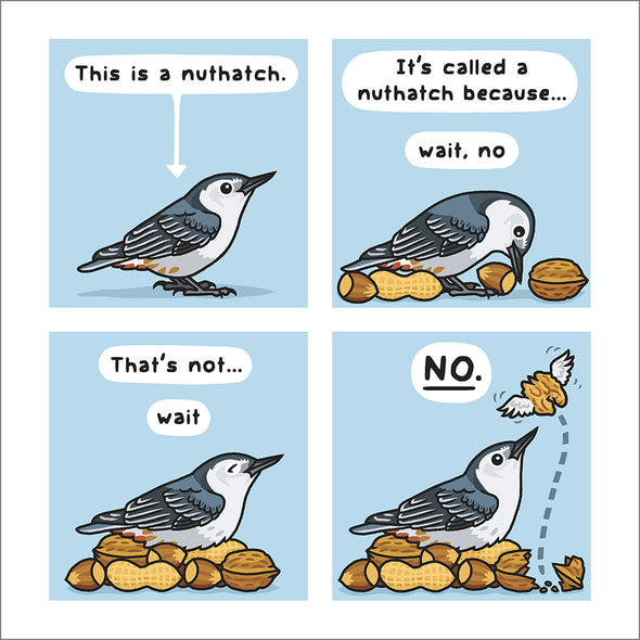 Nuthatch Secrets Print Art Bird and Moon