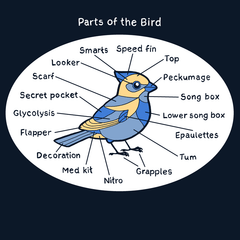 Bird Parts Shirt Shirts Bird and Moon