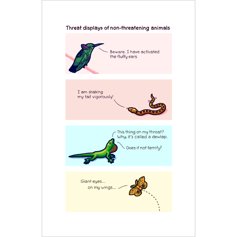 Threat Displays Of Non-Threatening Animals Print Art Bird and Moon