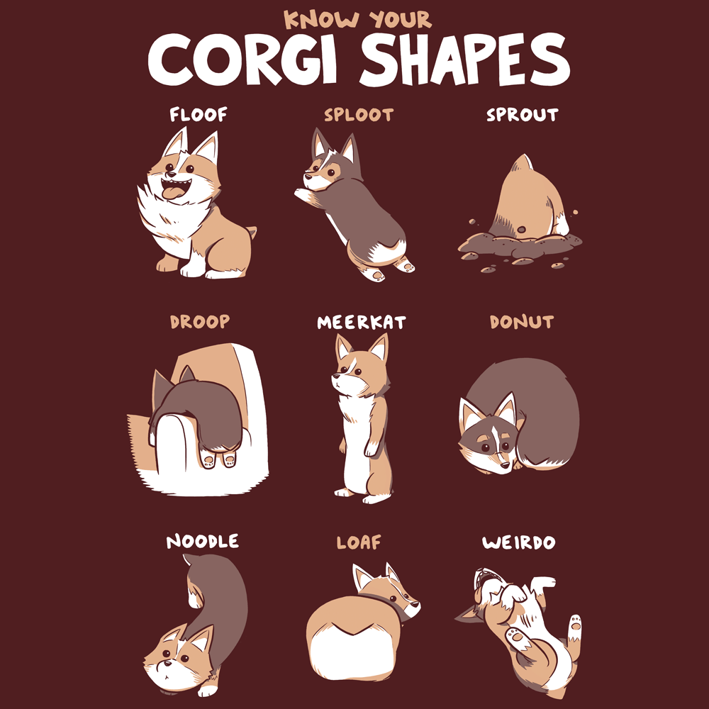 Know Your Corgi Shapes Shirts and Posters Shirts Sam Logan