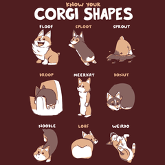 Know Your Corgi Shapes Shirts and Posters Shirts Sam Logan