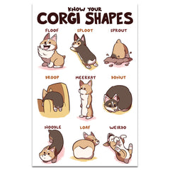 Know Your Corgi Shapes Shirts and Posters Shirts Sam Logan 11x17 Poster Print