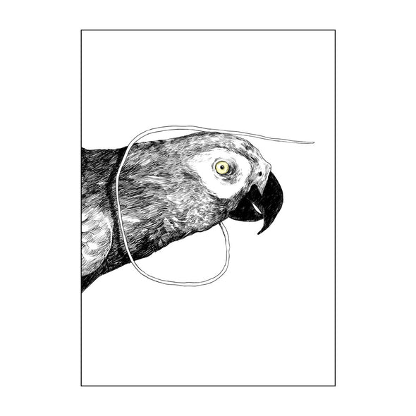 Specimens Prints 01-12 - 6x8” Art Jessica Hayworth Specimen 01