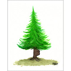 Phil McAndrew 11x14 Inch Prints Art Phil McAndrew Tree Butt