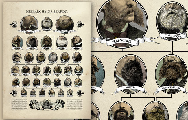 Hierarchy of Beards Poster Art Wondermark